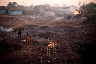 一、无人在线观看的高清画质体验