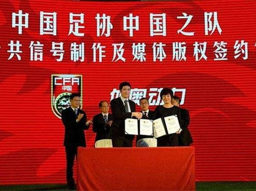 五、版权问题与合法观影