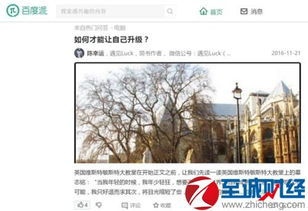 内容质量与可读性