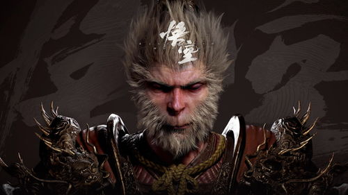 二、如何使用悟空影视观看视频