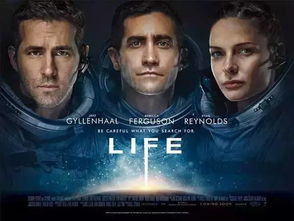 四、电影下载与播放技巧