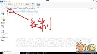 五、中文字幕使用技巧