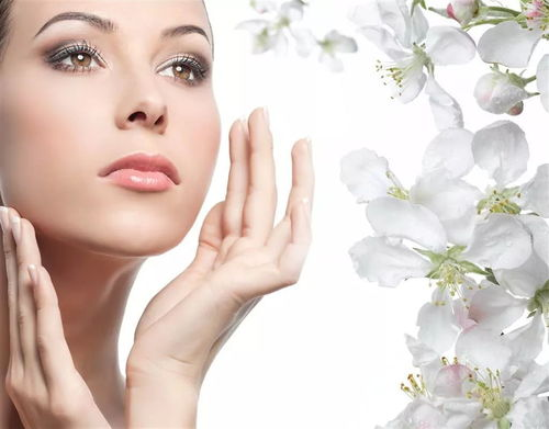 三、美容技巧深度解析