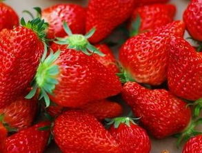 五、草莓永久地域网名的潜在影响