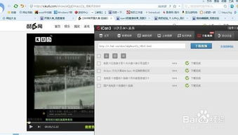 一、主流视频平台免费观看