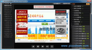 二、网络电视与直播平台