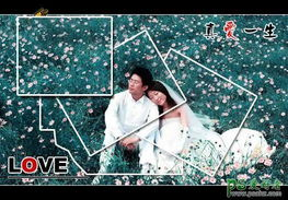 五、视觉效果与音乐的艺术表现