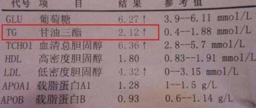 三、如何实施6中字免费学习法？