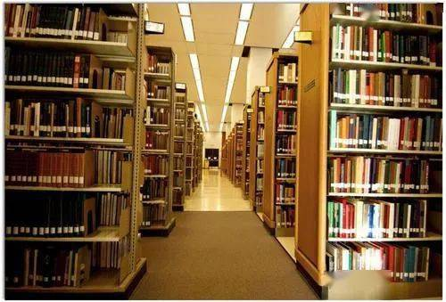四、公共图书馆与教育机构