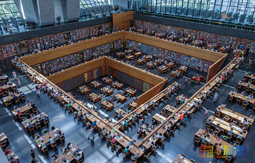 二、国家图书馆数字资源