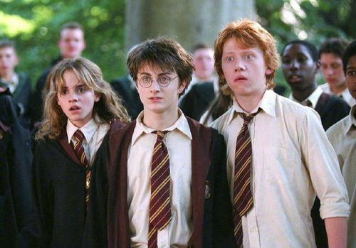 三、免费观看哈利波特电影的权益保护