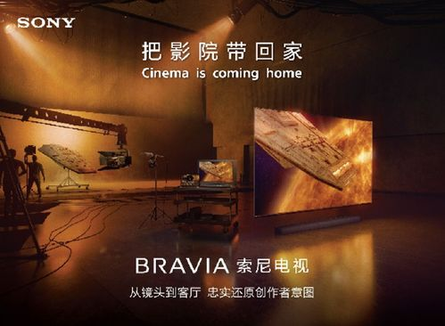 二、免费影院的内容多样性