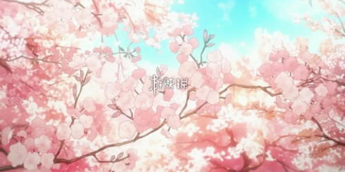 四、樱花动漫观看优势