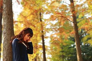 大宅院女人45集全部角色介绍,人物性格与剧情分析-精彩剧集解读