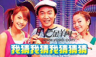 三、综艺节目篇：娱乐与文化的融合