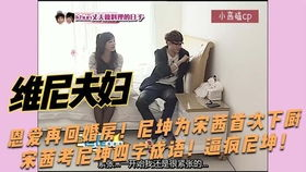 三、中文字幕MV高清在线观看与版权保护