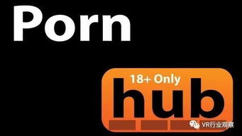 四、免费在线影视网站的更新速度