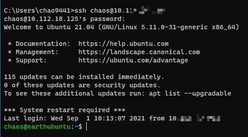 四、bt下载的常见问题与解决方法