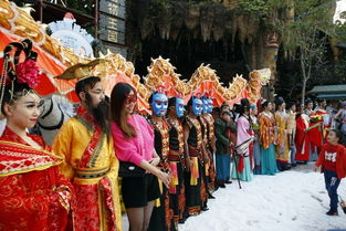 三、宫廷礼仪与历史文化展现