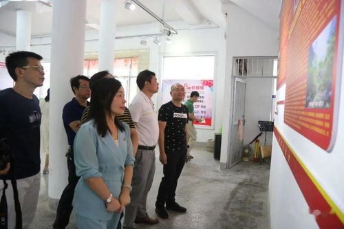 五、如何提升观看体验