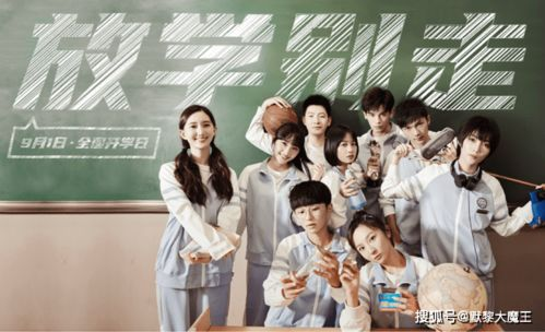 五、青春校园剧：青春记忆的回响