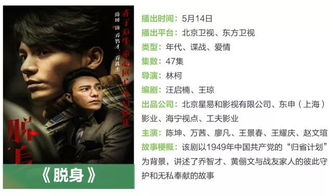 一、经典电视剧回顾：传承与经典