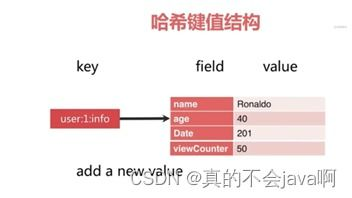 五、数据分析与持续优化