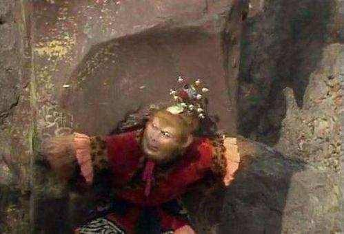 四、他似火在职场中的应用