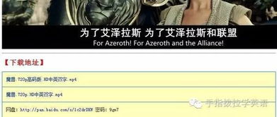 四、注意影片字幕选择