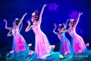 二、选择合适的舞蹈类型