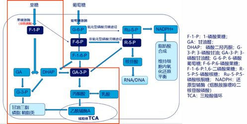 二、八佰在线观看的便捷途径