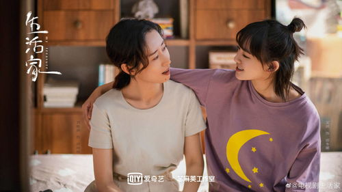 四、农村电视剧的情感共鸣