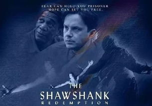 五、探索不同类型和风格的电影