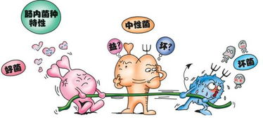 一、了解健康饮食的重要性