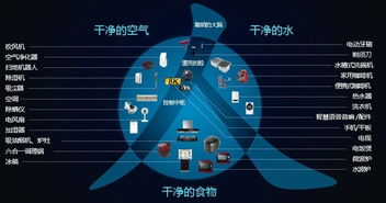 二、战略元素丰富多样