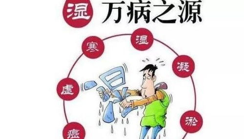 四、生活习惯与湿气的关系