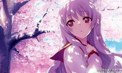 一、樱花动漫平台的优势与特点