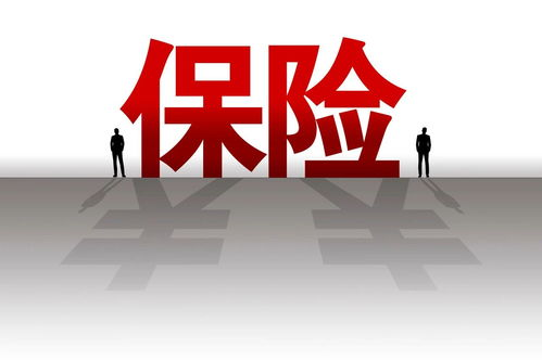 二、免费试看与会员权益的了解