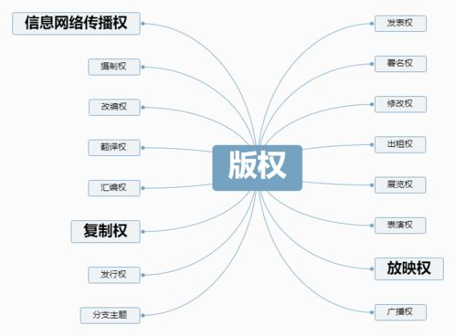 一、版权的重要性与合法观看途径