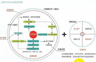四、链接建设与社交媒体营销