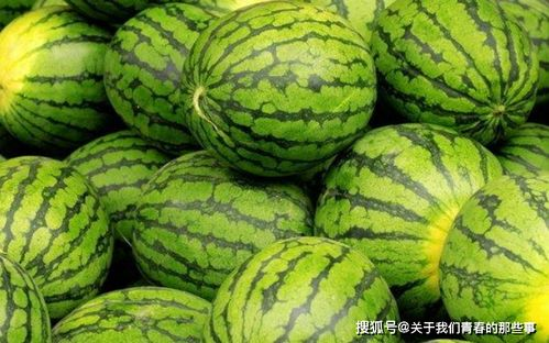 二、西瓜频道最新版使用技巧