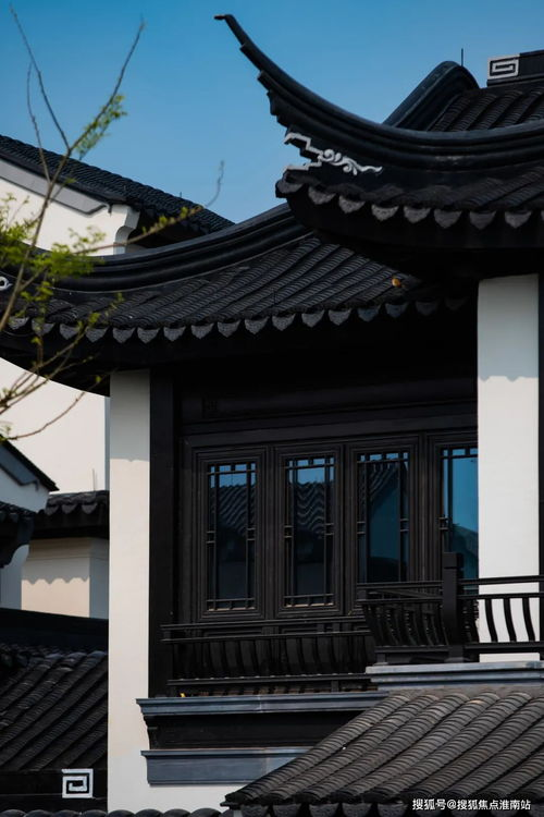 三、西瓜频道最新版的优势分析