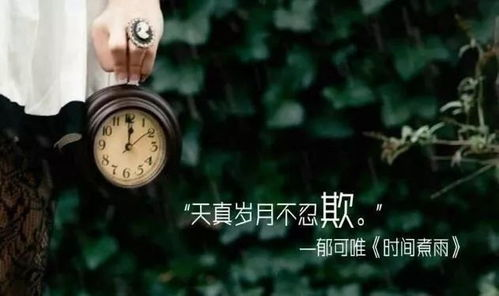 《时间煮雨》中的意境之美