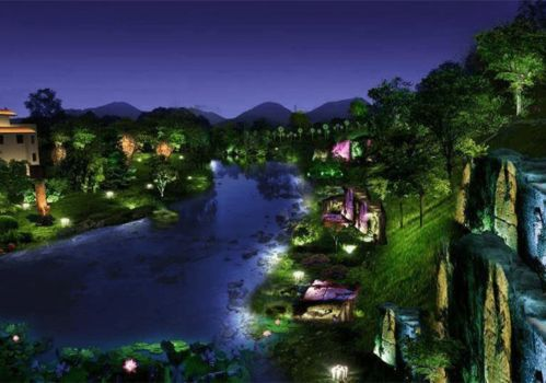 三、如何选择合适的在线观看应用