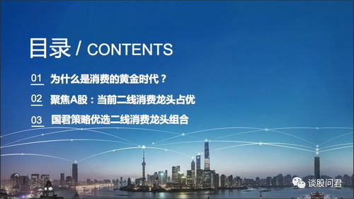 五、爱寻迷的未来发展展望