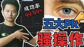 五、中文字幕制作与分享