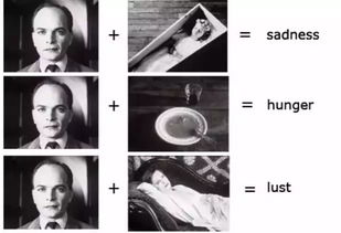 一、了解电影推荐指数的构成