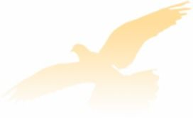 三、营造积极的学习氛围