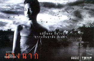 一、泰国鬼片：神秘与恐怖的完美结合