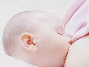 2. 催乳师的重要性